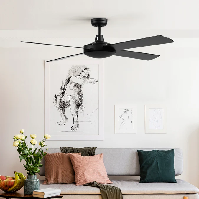 ceiling fan installation near me